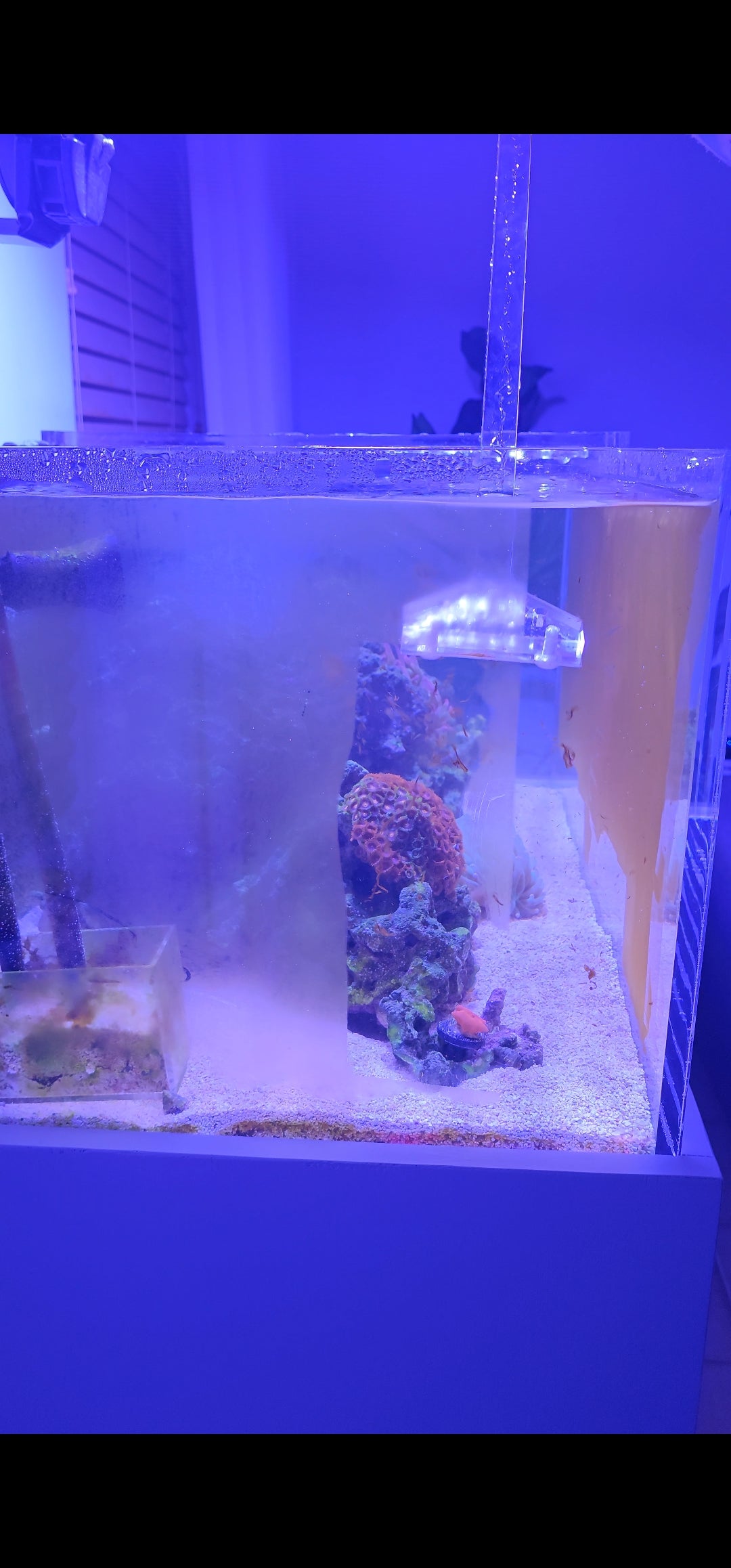 acrylic aquarium scrapper - cleaner